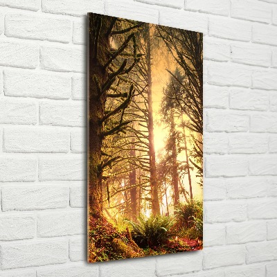 Quadro acrilico verticale Foresta pluviale