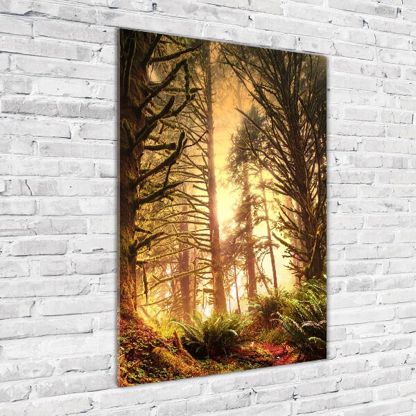 Quadro acrilico verticale Foresta pluviale
