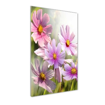 Quadro in vetro acrilico verticale Fiori selvatici