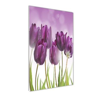 Quadro in vetro acrilico verticale Tulipani viola