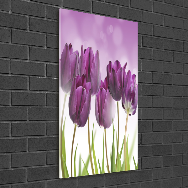 Quadro in vetro acrilico verticale Tulipani viola