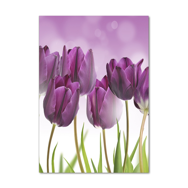 Quadro in vetro acrilico verticale Tulipani viola