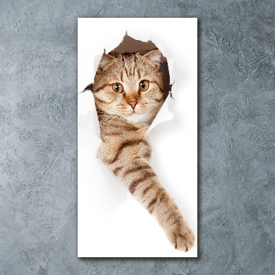 Quadro vetro acrilico verticale Gatto