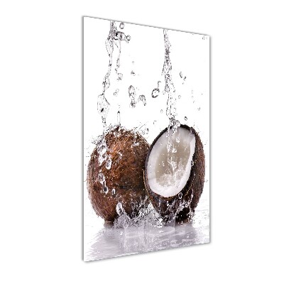 Quadro acrilico verticale Noce di cocco