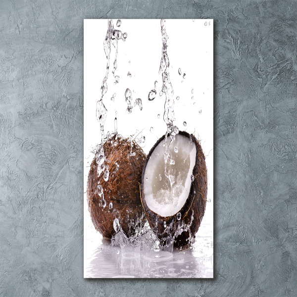 Quadro acrilico verticale Noce di cocco