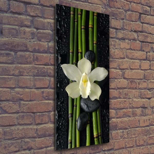 Quadro vetro acrilico verticale Orchidea e bambù