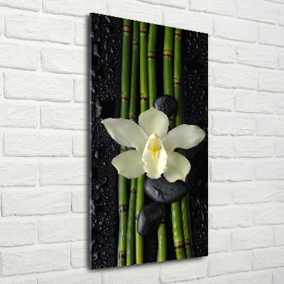 Quadro vetro acrilico verticale Orchidea e bambù