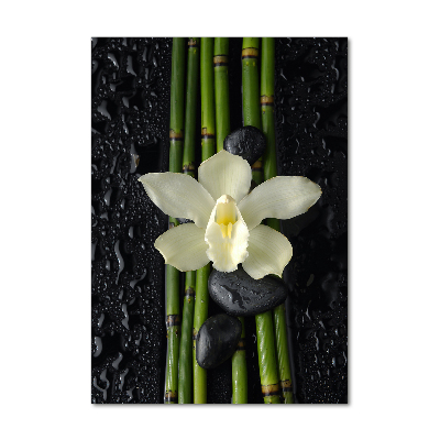 Quadro vetro acrilico verticale Orchidea e bambù