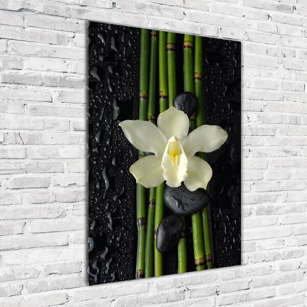 Quadro vetro acrilico verticale Orchidea e bambù