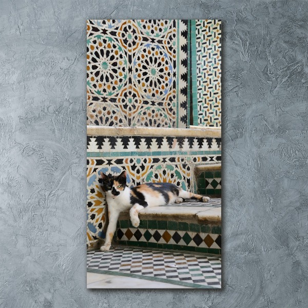 Quadro in vetro acrilico verticale Un gatto in Marocco