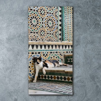 Quadro in vetro acrilico verticale Un gatto in Marocco