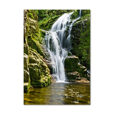 Quadro stampa su vetro acrilico verticale Cascata