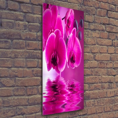 Quadro stampa su vetro acrilico verticale Orchidea rosa
