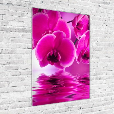Quadro stampa su vetro acrilico verticale Orchidea rosa