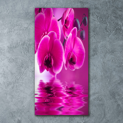 Quadro stampa su vetro acrilico verticale Orchidea rosa