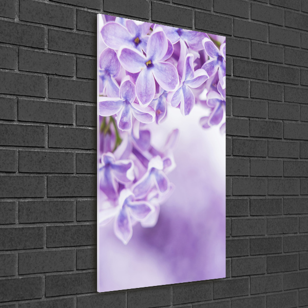 Quadro in vetro acrilico verticale Fiori di lillà