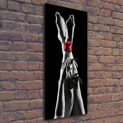 Quadro acrilico verticale Rosa e piedi