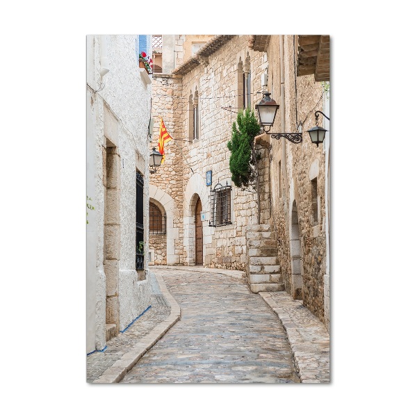 Quadro acrilico verticale Strade in Spagna