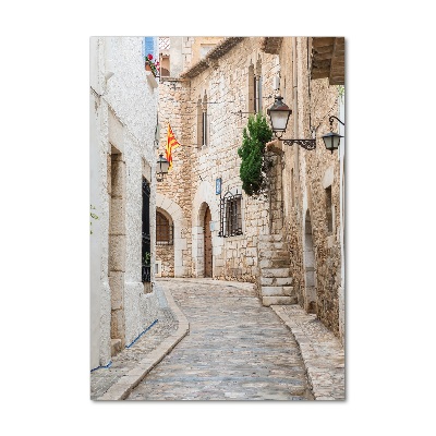 Quadro acrilico verticale Strade in Spagna