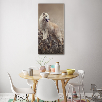 Quadro vetro acrilico verticale Lupo su una roccia