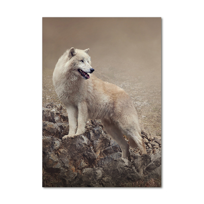Quadro vetro acrilico verticale Lupo su una roccia