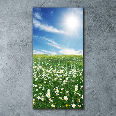 Quadro stampa su vetro acrilico verticale Prato