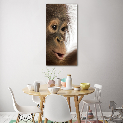 Quadro in vetro acrilico verticale Giovane orangutan
