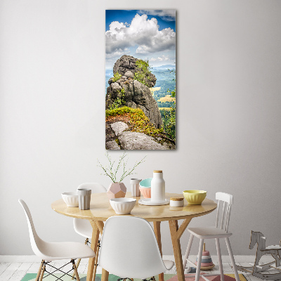 Quadro vetro acrilico verticale Szczeliniec Wielki