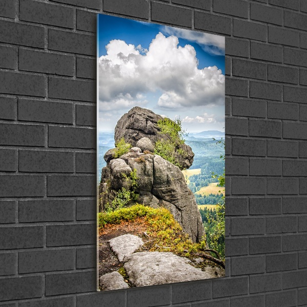 Quadro vetro acrilico verticale Szczeliniec Wielki