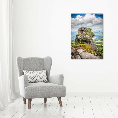 Quadro vetro acrilico verticale Szczeliniec Wielki