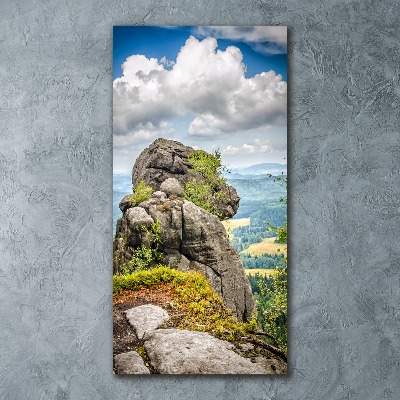 Quadro vetro acrilico verticale Szczeliniec Wielki