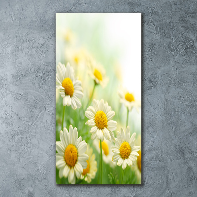Quadro stampa su vetro acrilico verticale Margherite