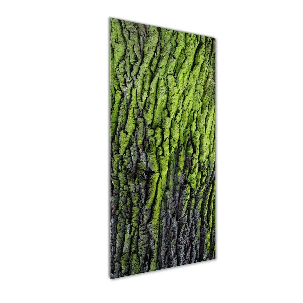Quadro in vetro acrilico verticale Corteccia d'albero