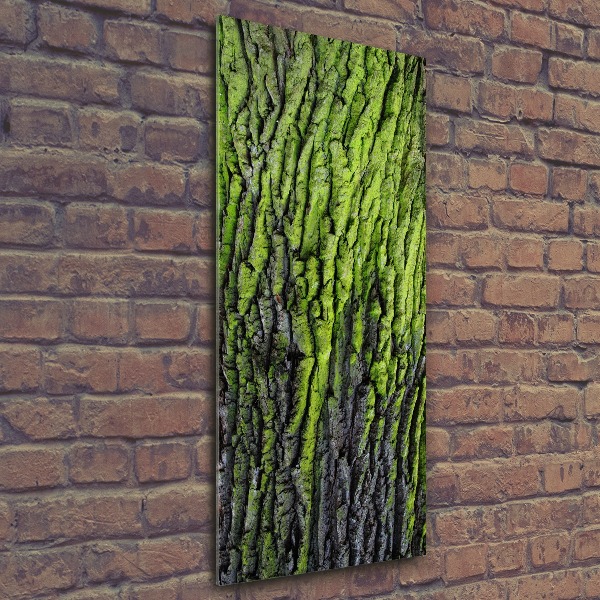 Quadro in vetro acrilico verticale Corteccia d'albero