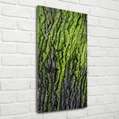 Quadro in vetro acrilico verticale Corteccia d'albero