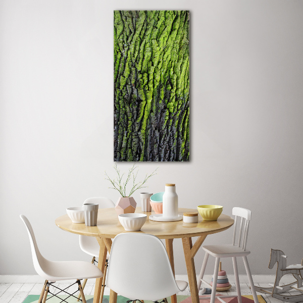 Quadro in vetro acrilico verticale Corteccia d'albero