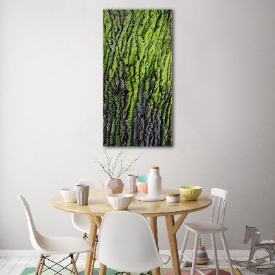 Quadro in vetro acrilico verticale Corteccia d'albero
