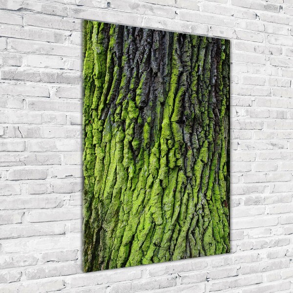 Quadro in vetro acrilico verticale Corteccia d'albero