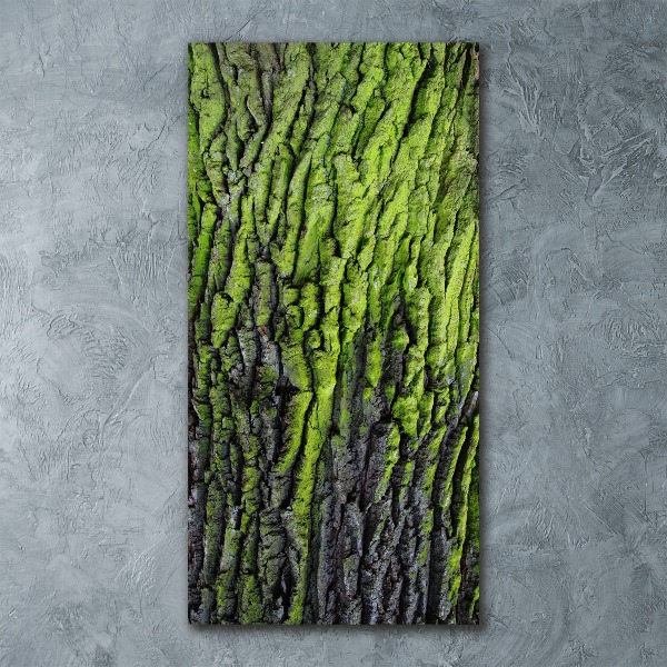 Quadro in vetro acrilico verticale Corteccia d'albero