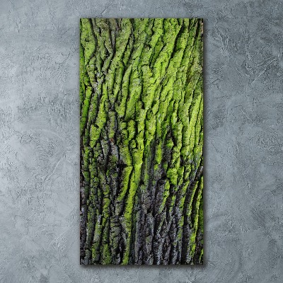 Quadro in vetro acrilico verticale Corteccia d'albero
