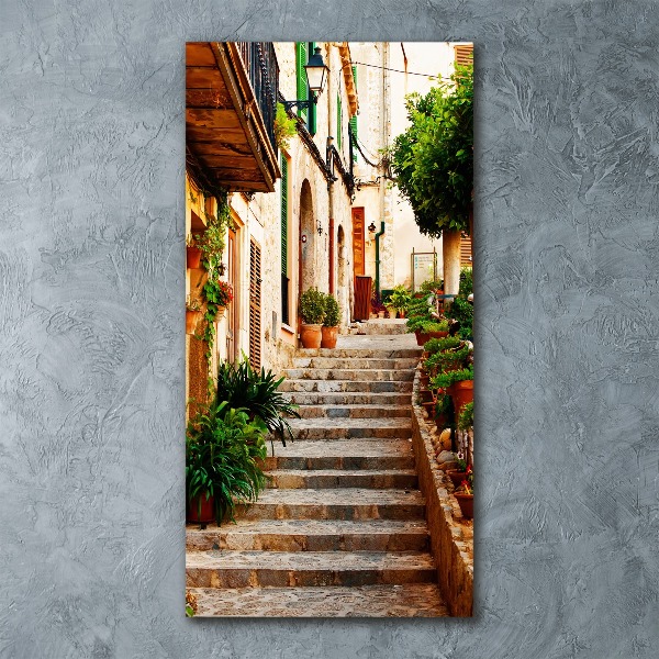 Quadro stampa su vetro acrilico verticale Strade in Spagna