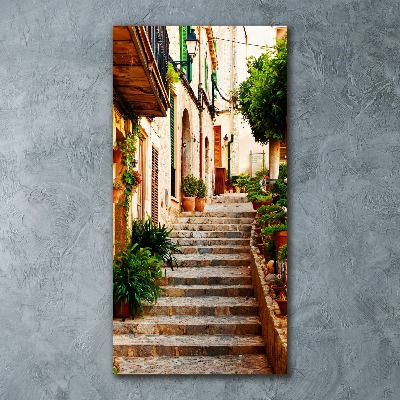 Quadro stampa su vetro acrilico verticale Strade in Spagna