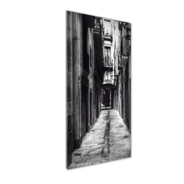 Quadro vetro acrilico verticale Barcellona, ​​Spagna