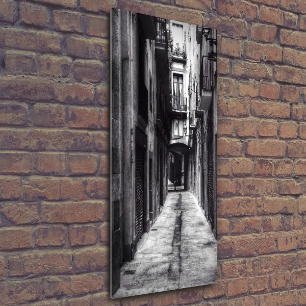 Quadro vetro acrilico verticale Barcellona, ​​Spagna
