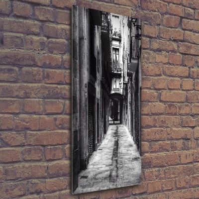 Quadro vetro acrilico verticale Barcellona, ​​Spagna