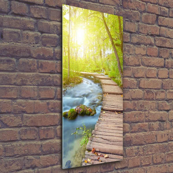 Quadro in vetro acrilico verticale Sentiero nella foresta