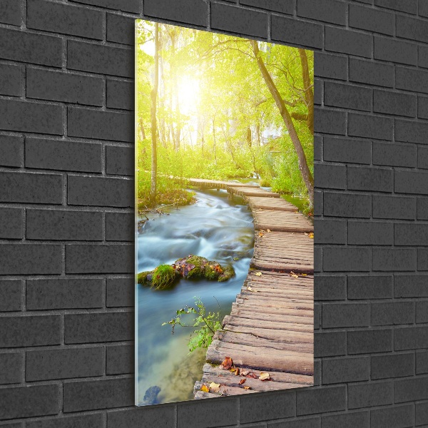 Quadro in vetro acrilico verticale Sentiero nella foresta