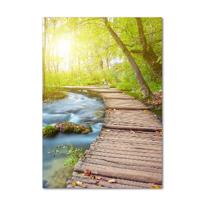 Quadro in vetro acrilico verticale Sentiero nella foresta