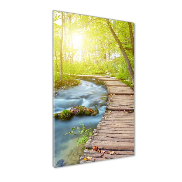 Quadro in vetro acrilico verticale Sentiero nella foresta