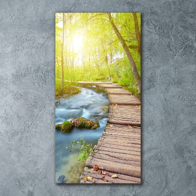 Quadro in vetro acrilico verticale Sentiero nella foresta